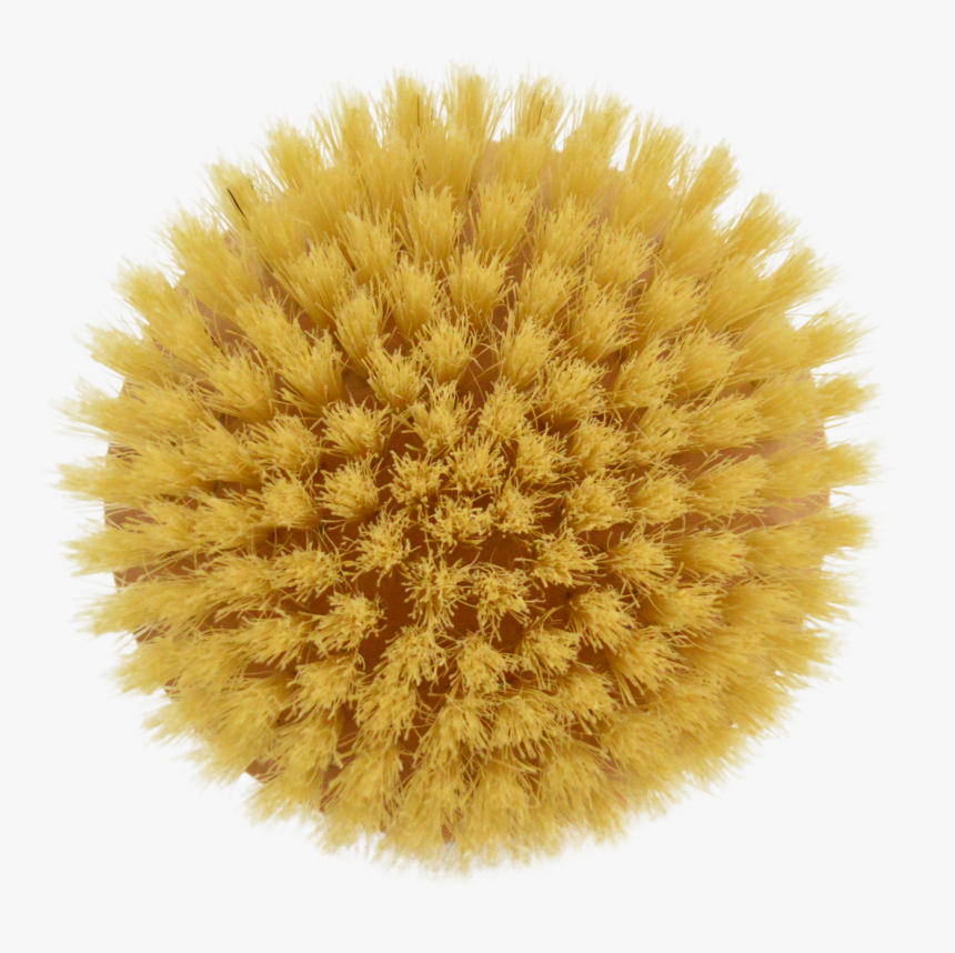 Vn1500 Oil Pump Gear, HD Png Download
