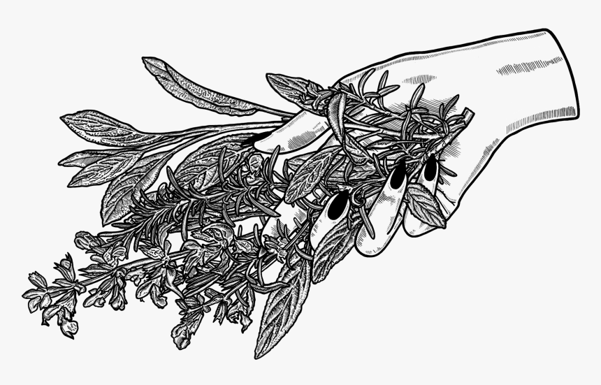 طراحی سیاه قلم زنبور, HD Png Download