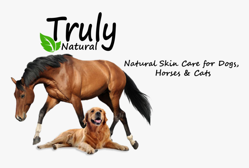 Truly Natural Ointment - Stallion, HD Png Download