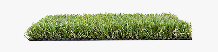 Lawn, HD Png Download