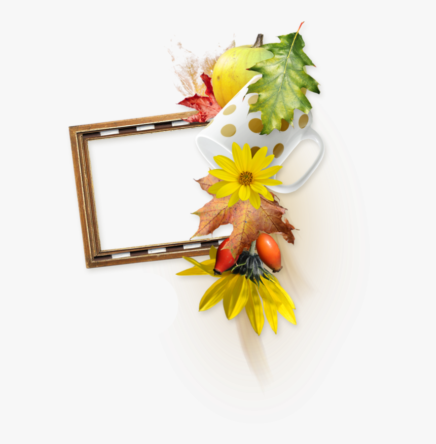 Picture Frame, HD Png Download