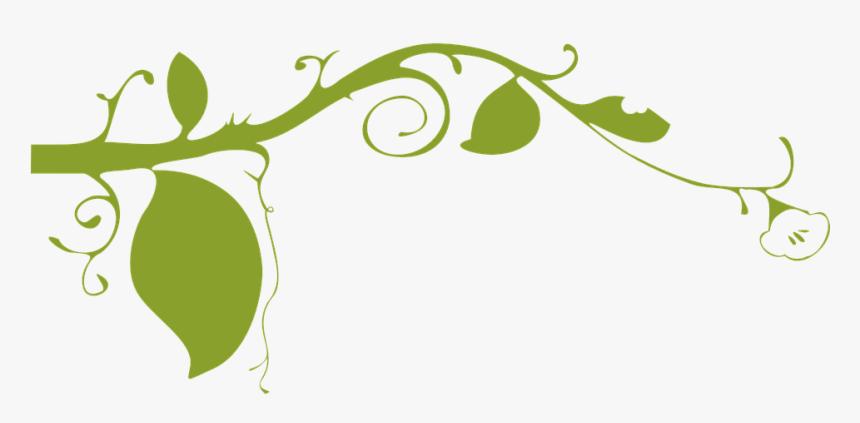 Thumb Image - Vines Plant Clipart Black, HD Png Download