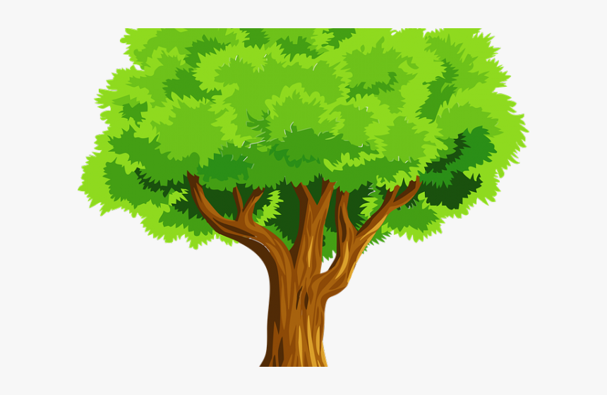 Tree Images Free - Clip Art Of A Tree, HD Png Download