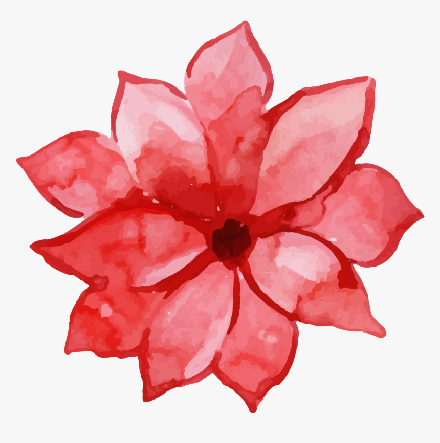 Impatiens, HD Png Download