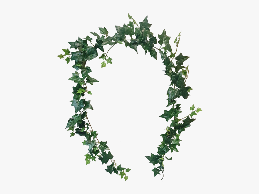 Graphic Transparent Download Ft Sage Ivy - Garland, HD Png Download