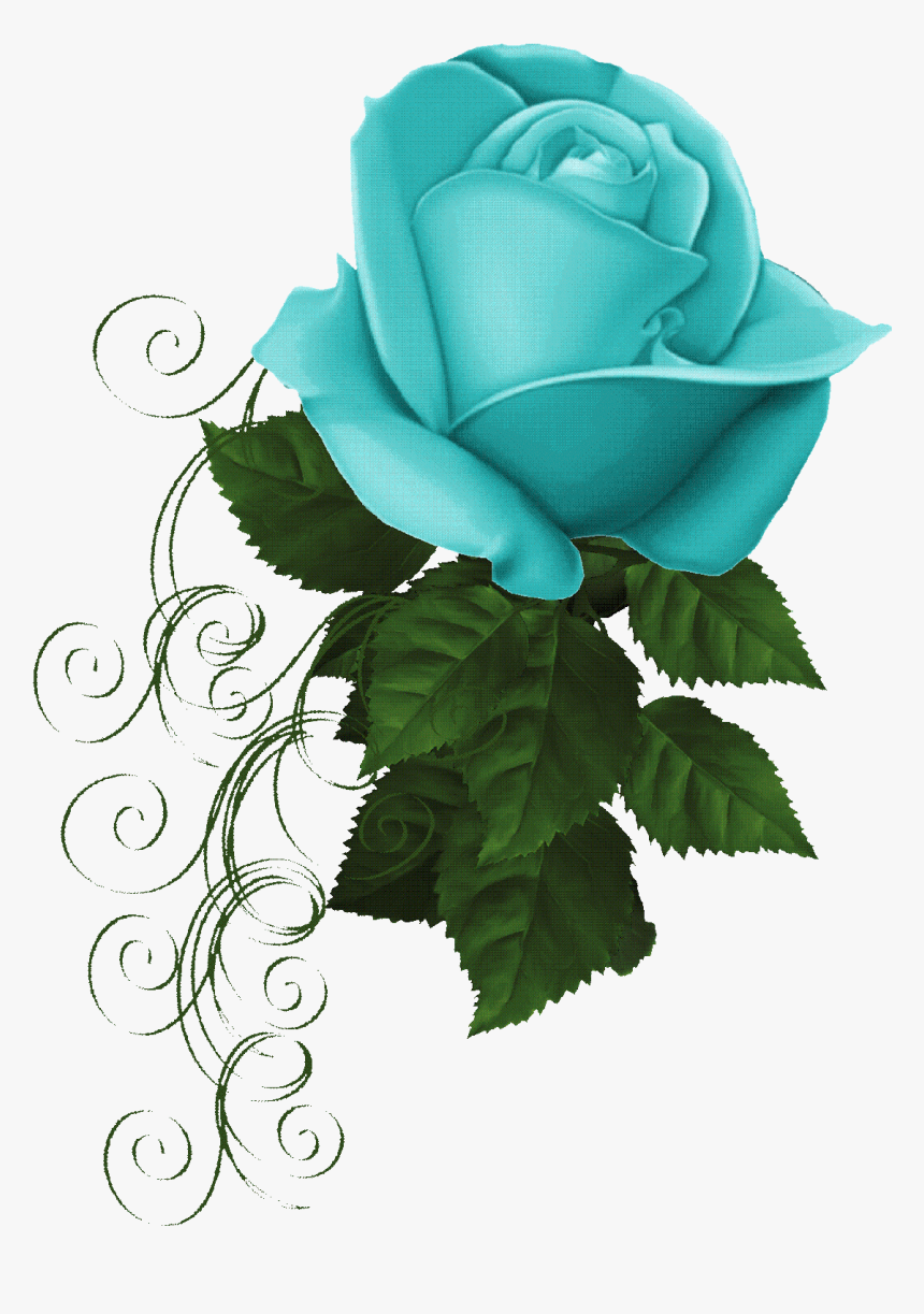 Garden Roses, HD Png Download