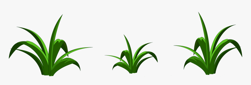 Grass Clipart Png Transparent, Png Download