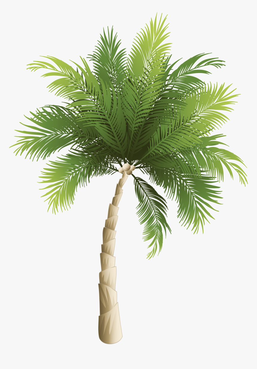 Yükle Phoenix Canariensis Transparent & Png Clipart - Palm Tree Island Png, Png Download