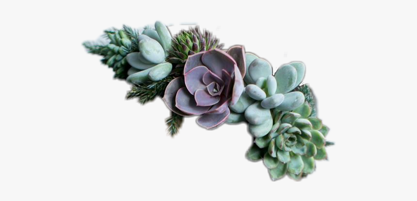 Well Look At That Another Flower Crown - Succulent Jewelry, HD Png Download