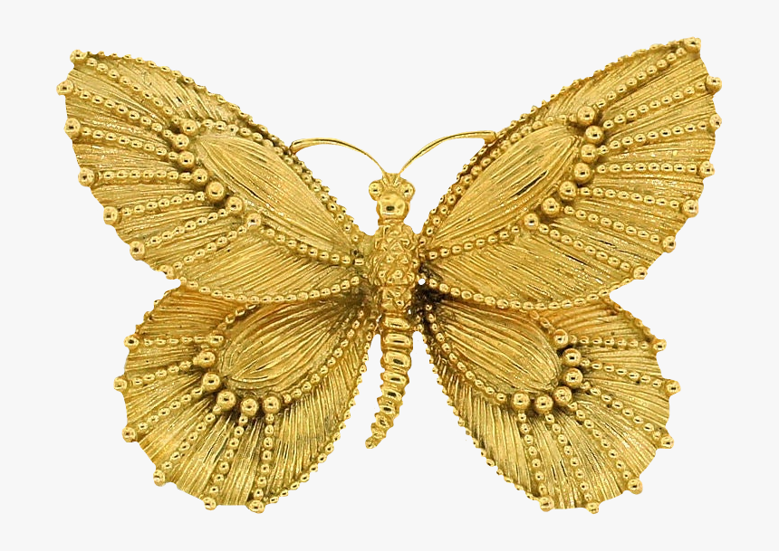 #farfalla #oro #butterfly #gold #mialu #lucymy #cuorelucymy - Papilio Machaon, HD Png Download
