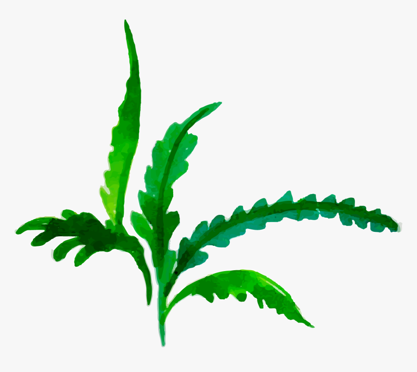 Clip Art, HD Png Download