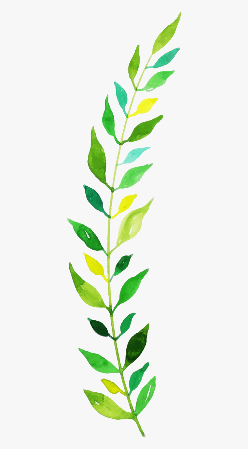 Houseplant, HD Png Download