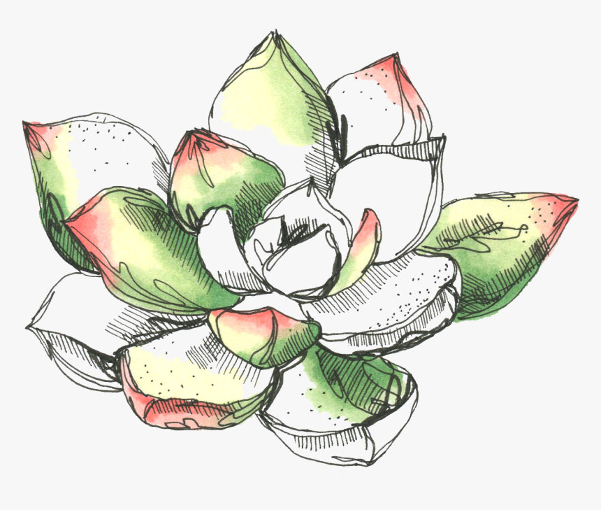 #freetoedit #succulent #colorful #overlay #drawn - Learning To Speak Life Books, HD Png Download
