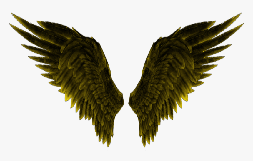 #angelwings #wings #yellow - Parrot, HD Png Download