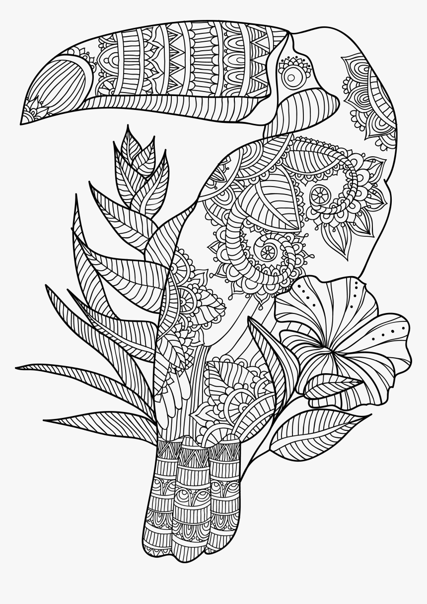 Line Art, HD Png Download