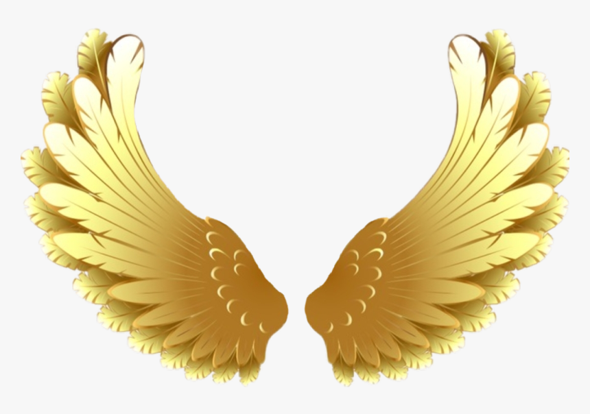#goldwings #wings #golden #goldenwings #pretty #soft - Gold Wings Transparent Background, HD Png Download