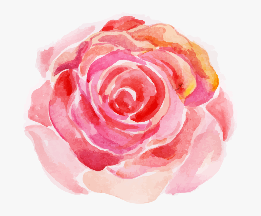 Garden Roses, HD Png Download