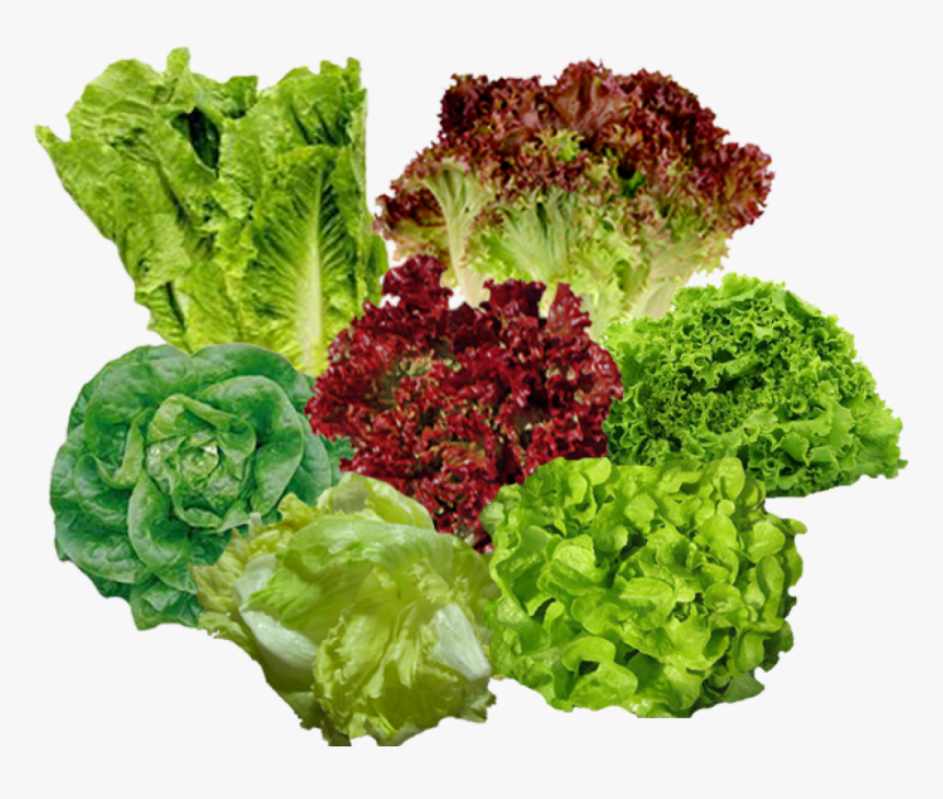 ผัก ผัก กาด หอม, HD Png Download