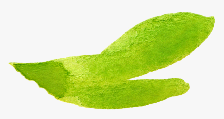 Watercolor Png Bubble Speech Clipart , Png Download - Macro Photography, Transparent Png