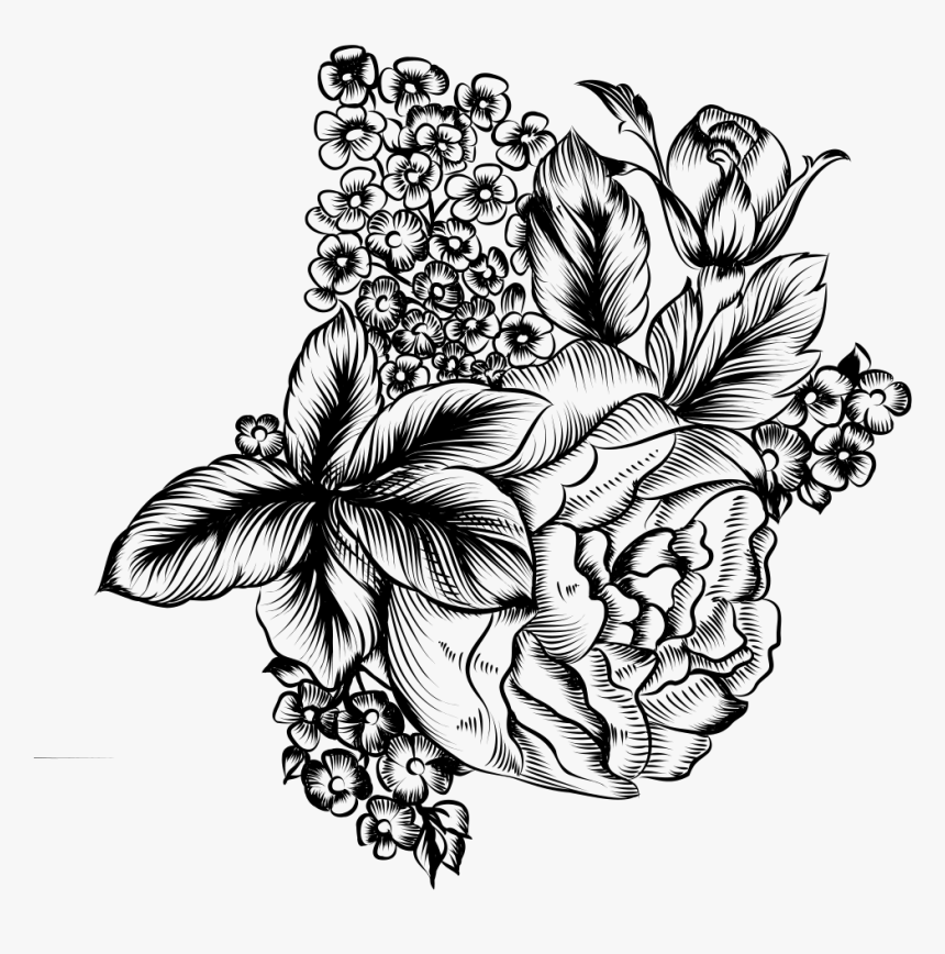 Tagetes Patula, HD Png Download