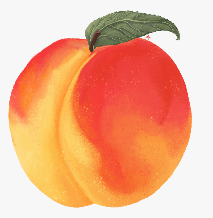 Peach - Nectarine, HD Png Download