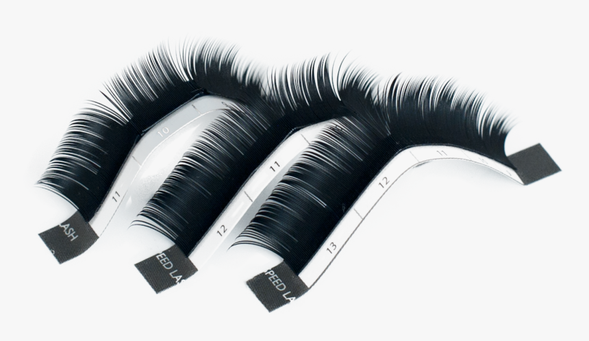 Makeup Brushes, HD Png Download