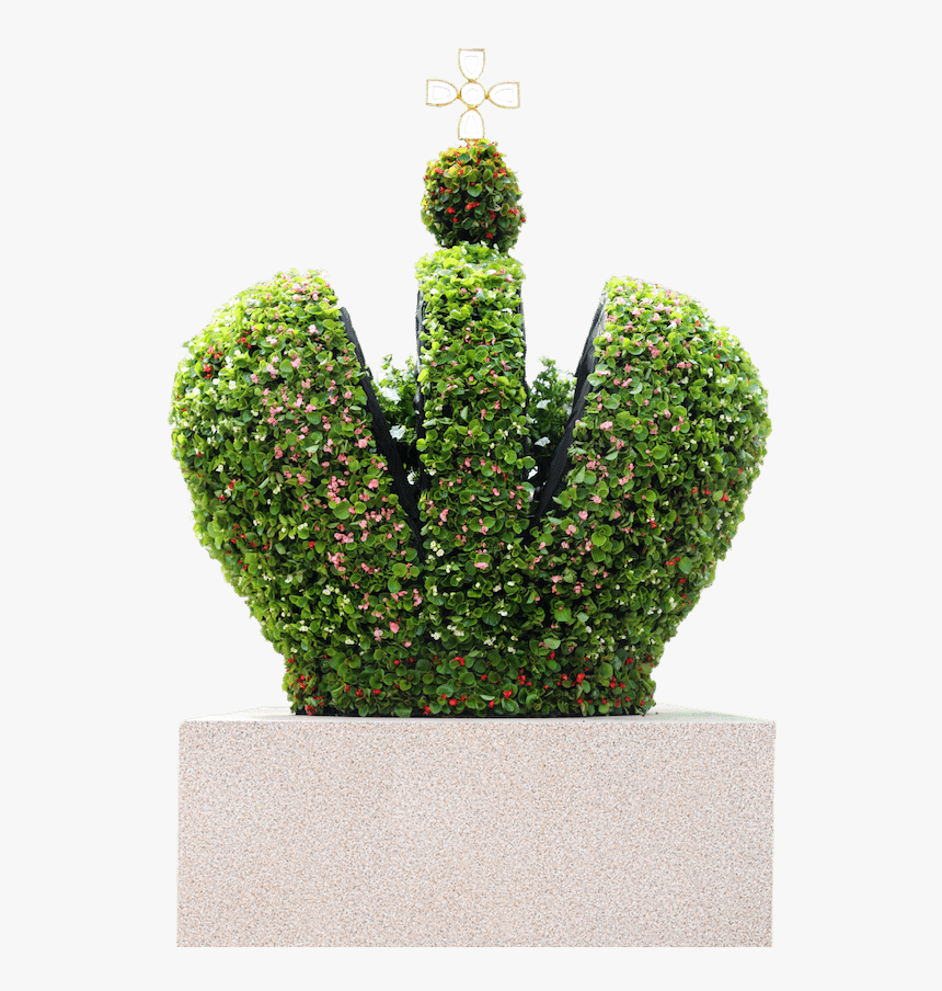 St - Petersburg Gardens - Houseplant, HD Png Download