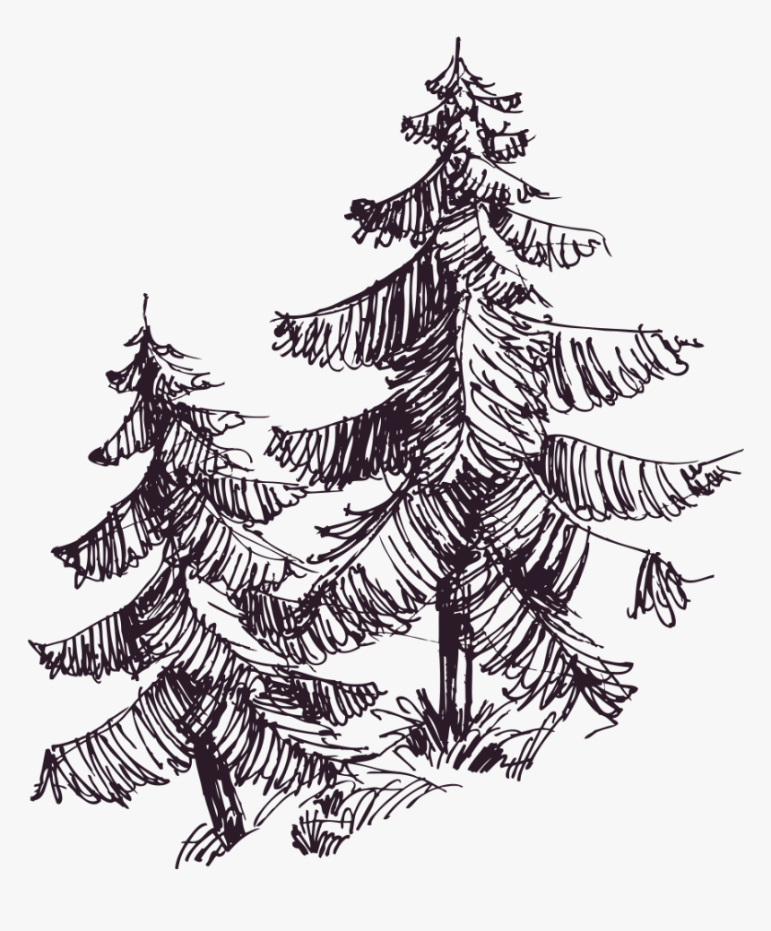 Christmas Tree, HD Png Download