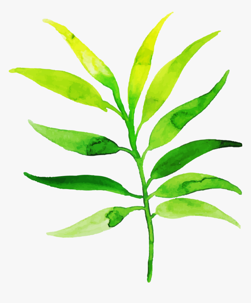 Clip Art, HD Png Download