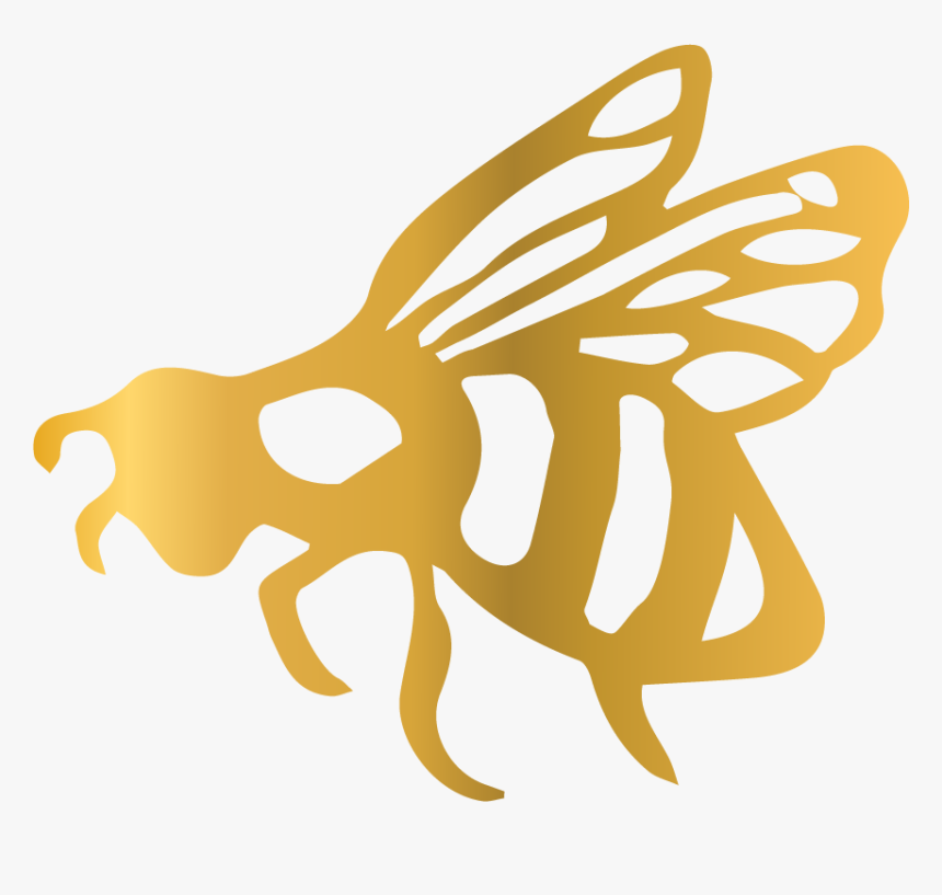 Illustration, HD Png Download