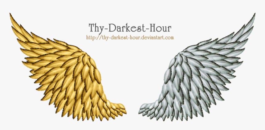 Gold Angel Wings Png - Angel Gold Wings Png, Transparent Png