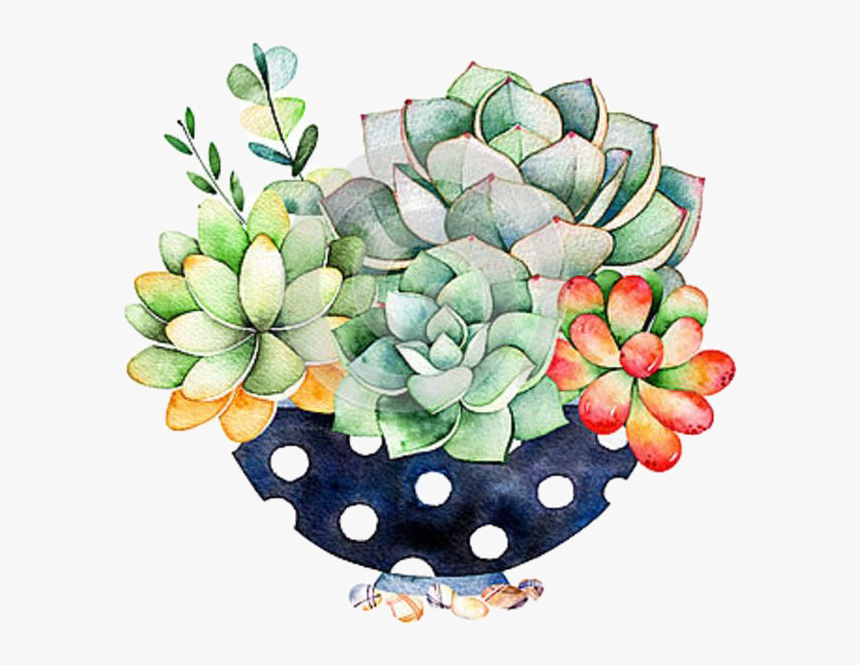 #succulents #cactus #flowerarrangement #handdrawn #watercolor - Diamond Painting Kits Cactus, HD Png Download