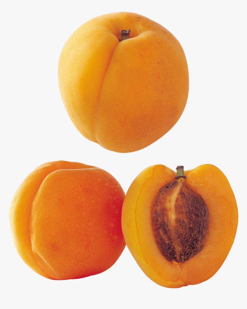 Peach Png Free Download - Sliced Peach Png, Transparent Png