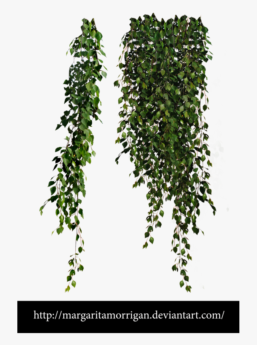 Tree Planting, Definition Pc, - Plant Png, Transparent Png