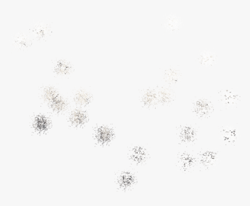 Floral Design, HD Png Download
