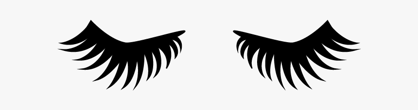 Volume2 - Eyelash Extensions, HD Png Download