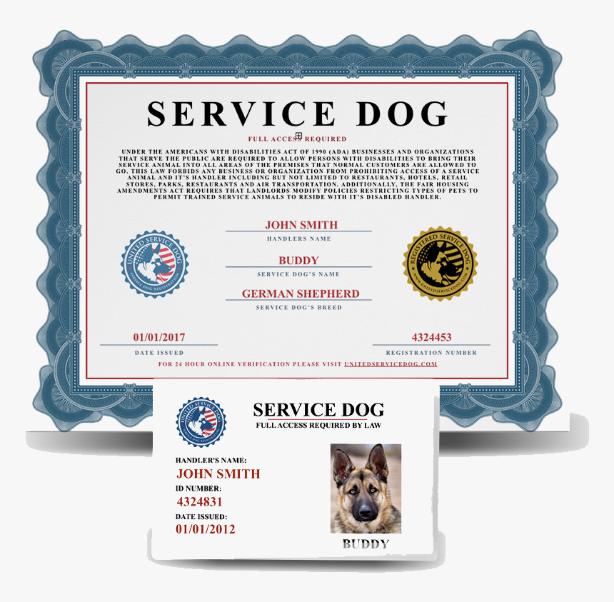 Fine Impressions Ecru Flat Cards A7 - Emotional Support Animal Certificate Pdf, HD Png Download