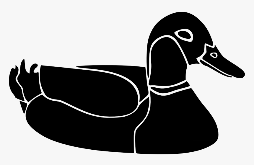 Duck, HD Png Download