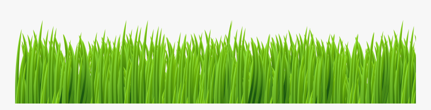 Grass Clip Art Transparent, HD Png Download