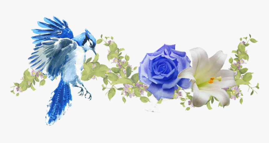 Floribunda, HD Png Download