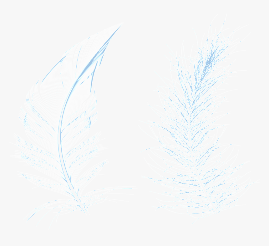 Png Transparente De Plantas Azuis - Sketch, Png Download