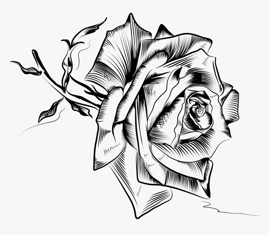 Drawing, HD Png Download