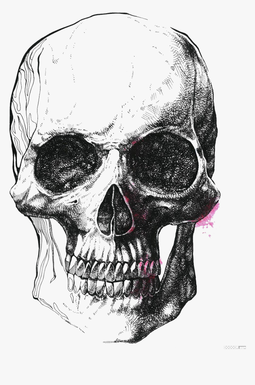 Human Skull Symbolism Illustration - Black And White Sketch, HD Png Download