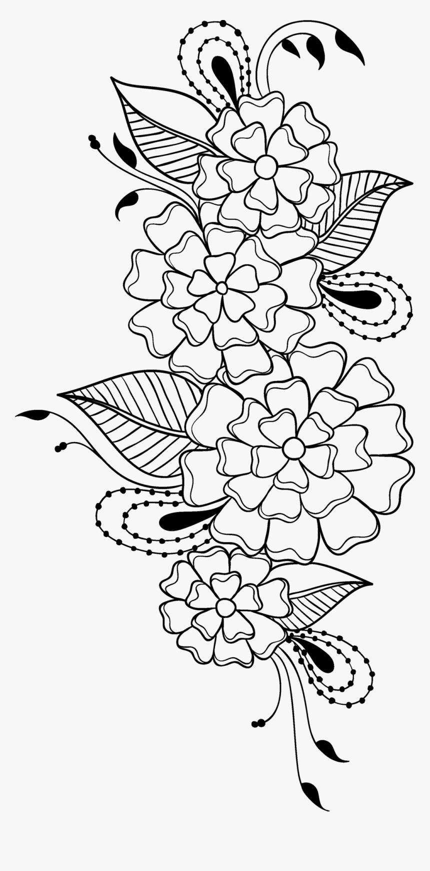 Db Science College Gondia, HD Png Download