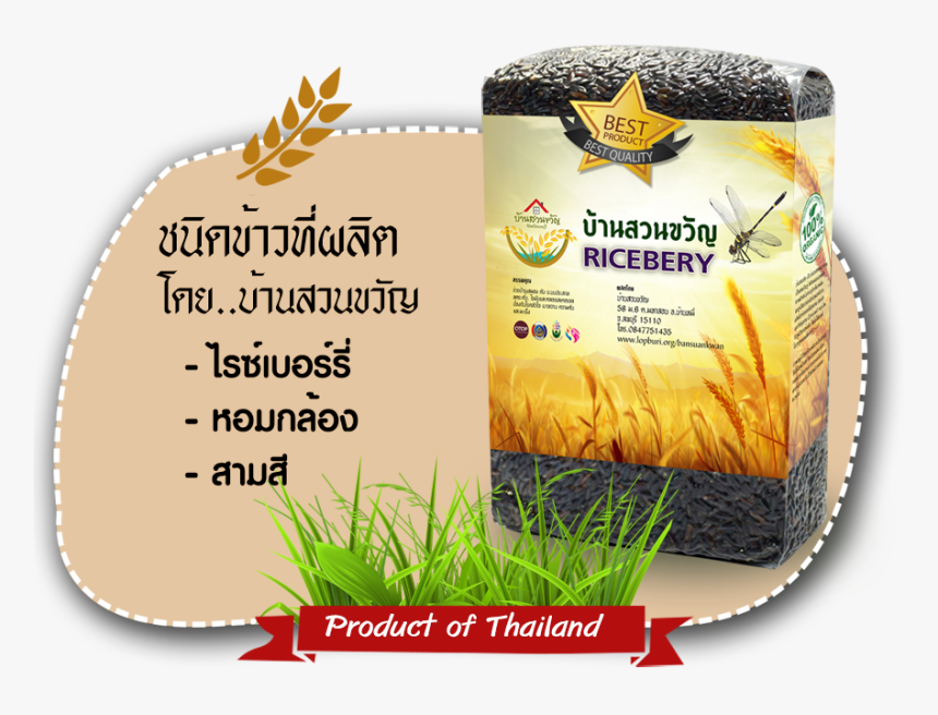 ข้าว ปลอด สาร พิษ, HD Png Download