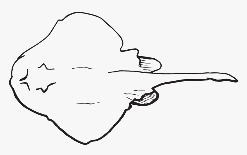 A Necklace With A Piece Of Paper - Line Art, HD Png Download