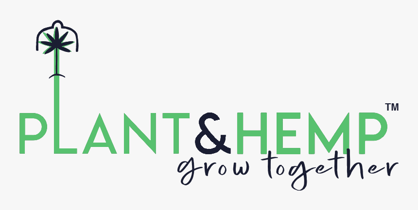 Calligraphy, HD Png Download