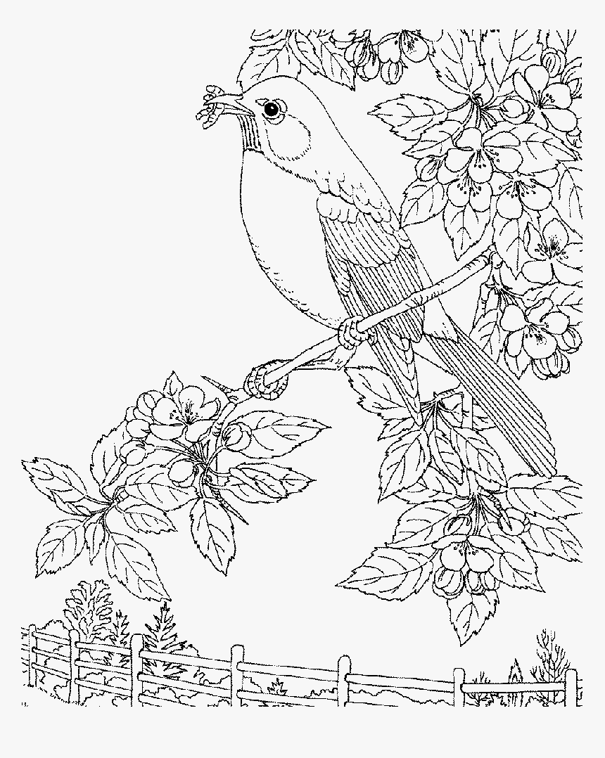 [coloring Pages] - Line Art, HD Png Download