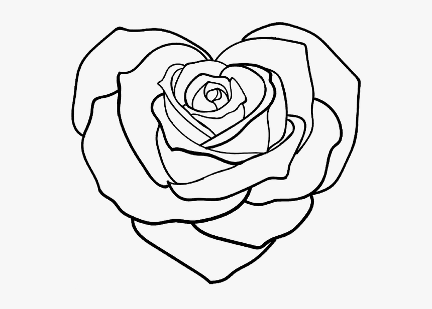 Floribunda, HD Png Download