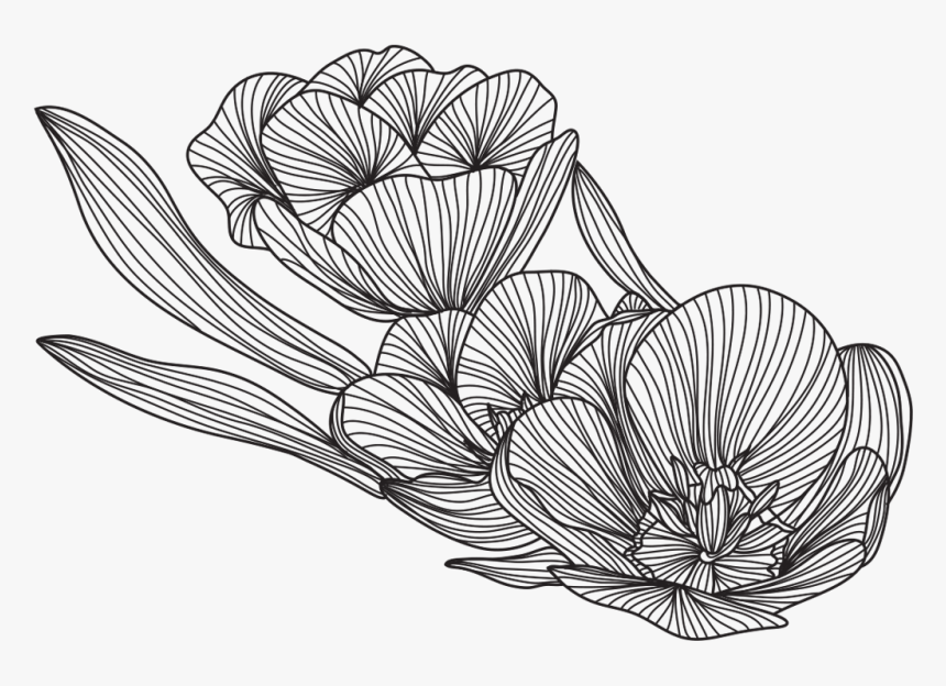 Drawing, HD Png Download